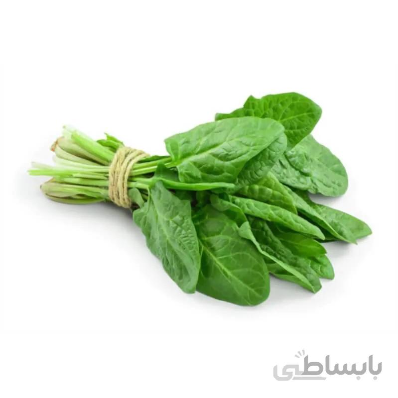 بذر اسفناج هیبرید مقاوم به گرما oriental king آمریکایی بسته 50 عددی