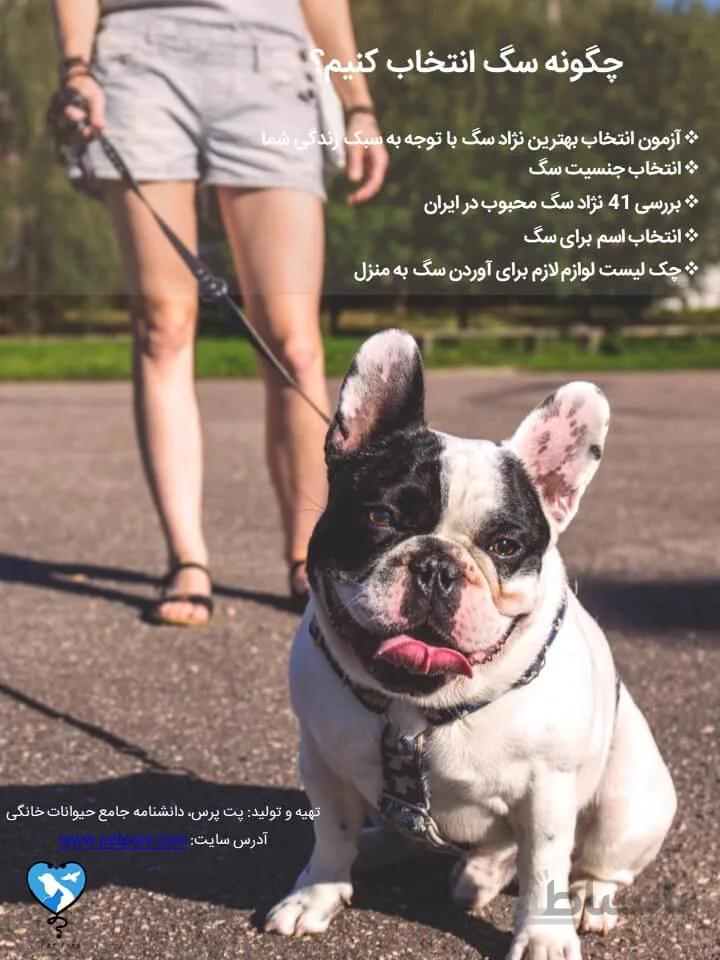 راهنمای کامل و تست انتخاب نژاد سگ مناسب من