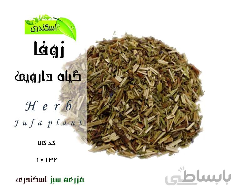 گیاه زوفا