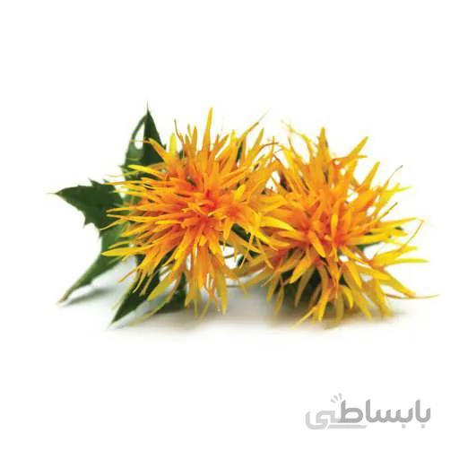 بذر گلرنگ
