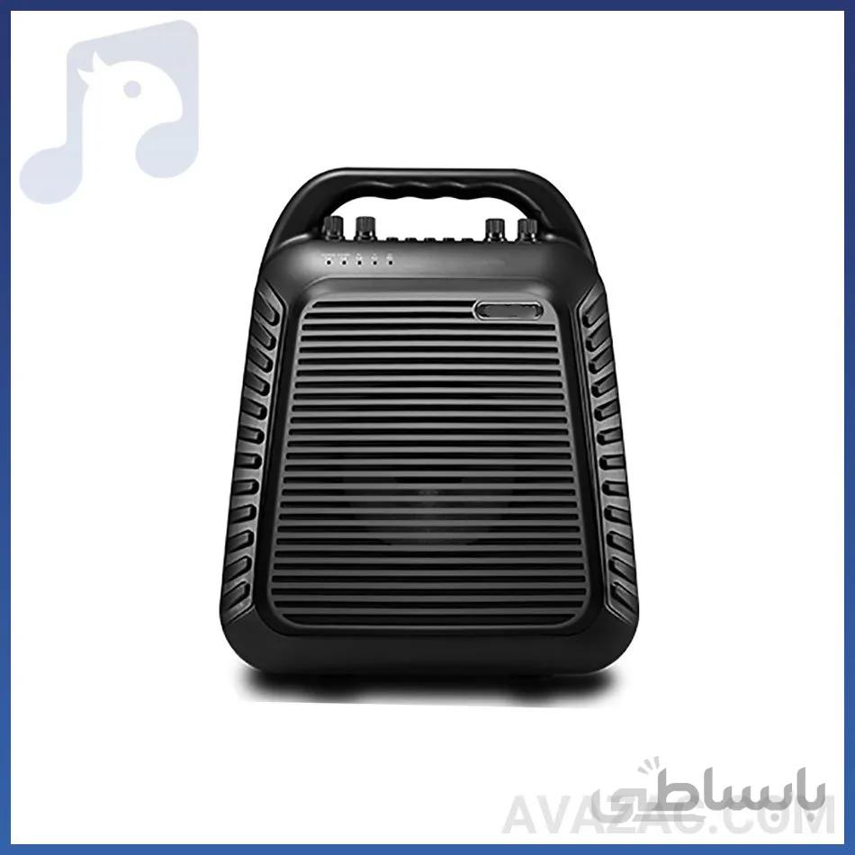 اکوهمراه اکوچنگ مدل TWIN