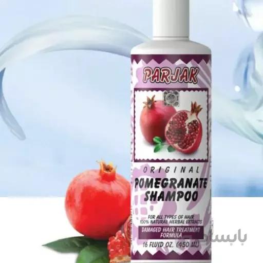 شامپو پرژک مدل Pomegranate مقدار 450 میلی لیتر ا Parjak Pomegranate Shampoo 450 ml