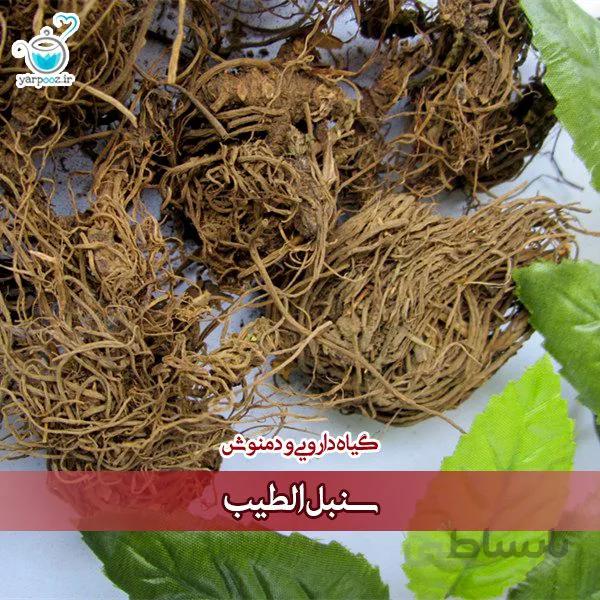 گیاه دارویی و دمنوش سنبل الطیب