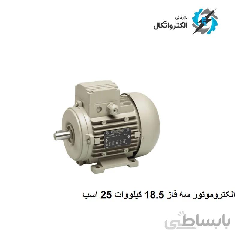الکتروموتور الکتروژن سه فاز ۱۸.۵ کیلووات ۲۵ اسب ۳۰۰۰ دور