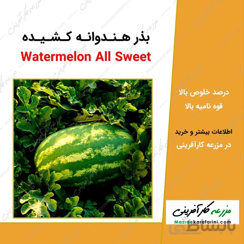 بذر هندوانه کشیده All Sweet