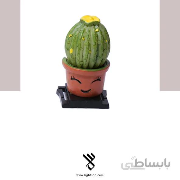درپوش کفشک فلاش‌ دوربین طرح کاکتوس