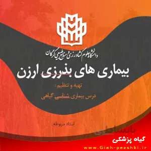 پروژه آماده پاورپوینت و ورد بیماری های مهم بذرزی ارزن علوفه ای و خوراکی