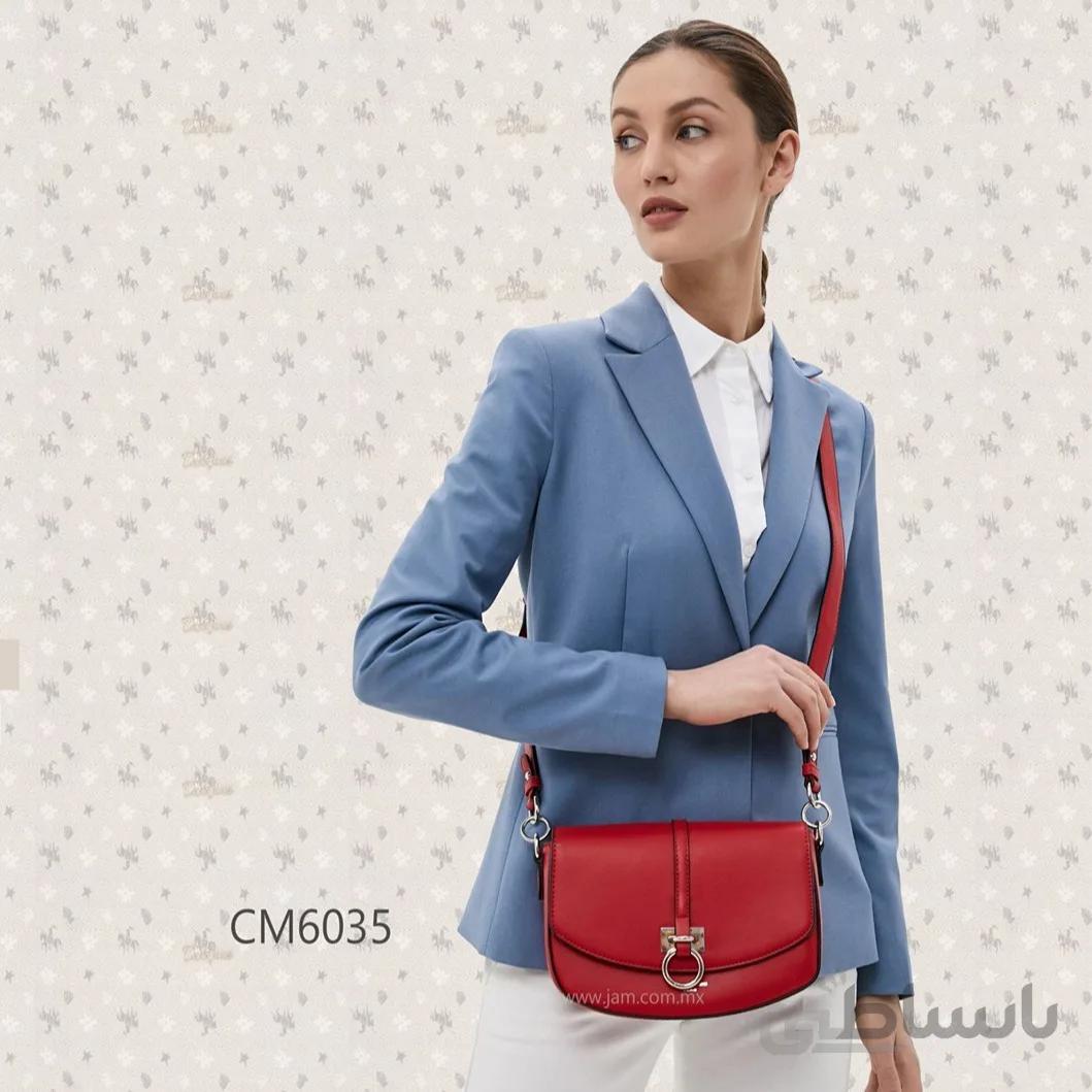 David Jones cm6035