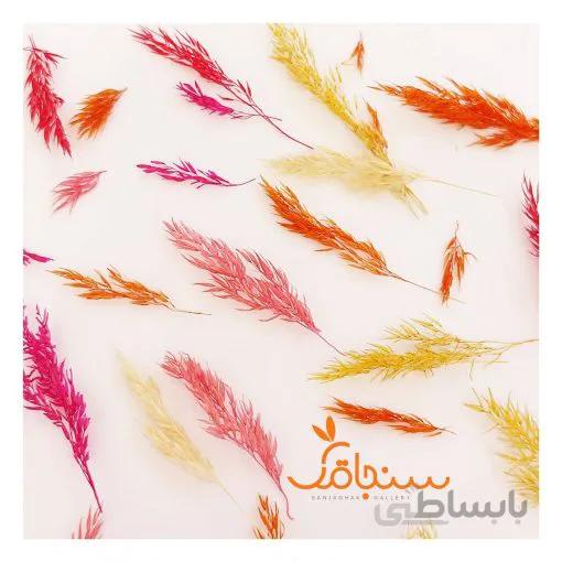 گل قمیش(بسته ۱۵ عددی)