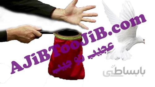 کیسه ظاهر شدن کبوتر (سطح حرفه ای)
