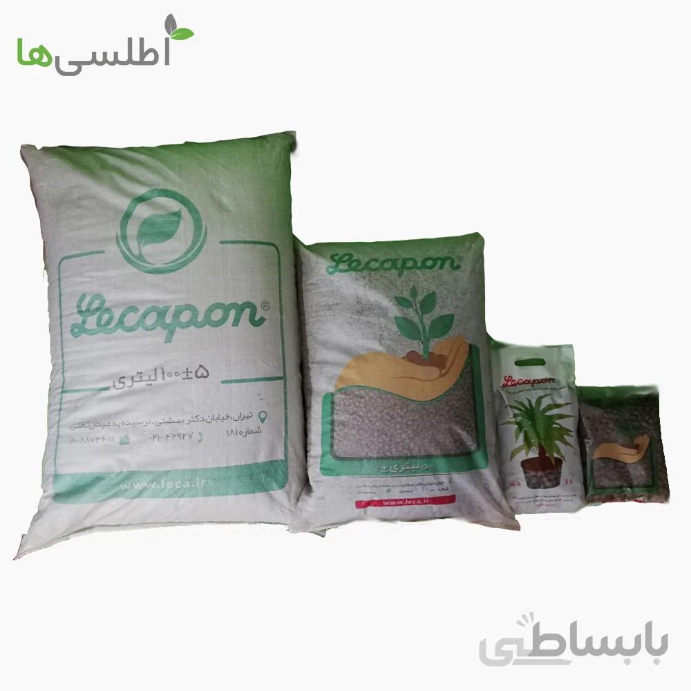 پوکه