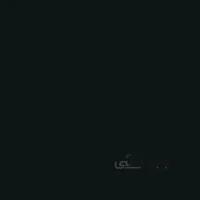 خودکار پلیکان Stick Pro مشکی -2320