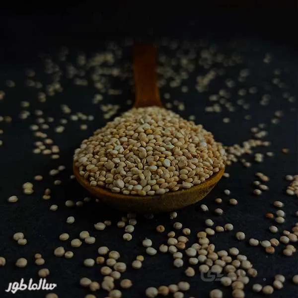 دانه کینوا