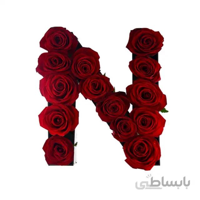 باکس گل حروف N