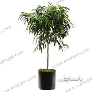 بنجامین آمستل B02 ( ارسال رایگان )