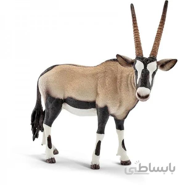 غزال اشلایش 14759