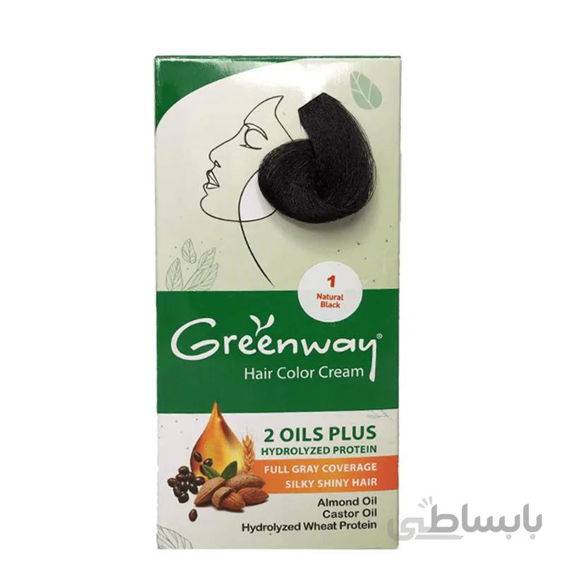 کیت رنگ مو گرین وی سری Natural کد 1 ظرفیت 50 میلی لیتر ا Greenway Natural Color Kit Black 50 ml No.1