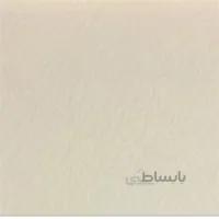 مقوا پاستل تیزیانو فابریانو 160g ایتالیا A3 رنگ Avorio (40) -1112