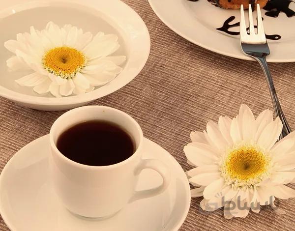 سرویس غذاخوری 28 پارچه چینی زرین ایران سری ایتالیا اف مدل سفید ( Sefid )درجه عالی