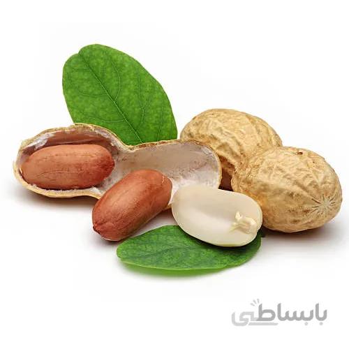 بذر بادام زمینی درجه یک