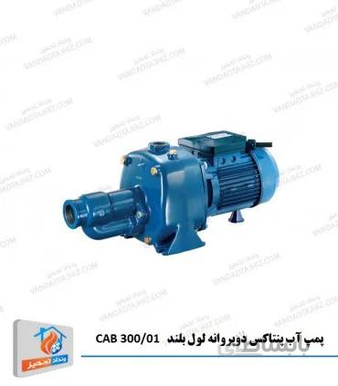 پمپ آب پنتاکس دوپروانه لول بلند CAB 300/01