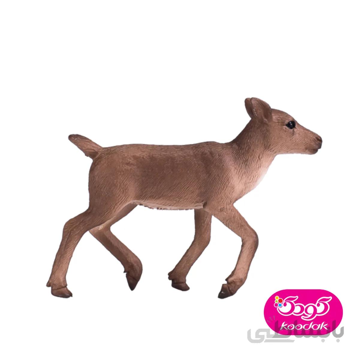 گوساله گوزن 387188 – حیوانات موجو