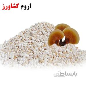 بذر قارچ گانودرما نسل اول