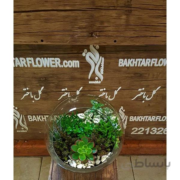 تراریوم کد 1079527