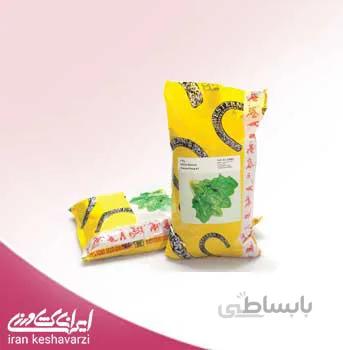 بذر اسفناج اورینتال پراید هیبرید ویکیما 2020 دانمارک