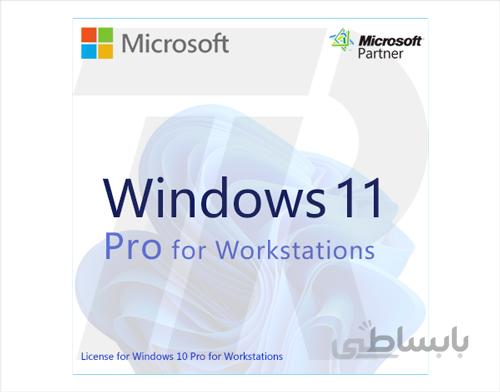 Windows 11 Pro for workstation