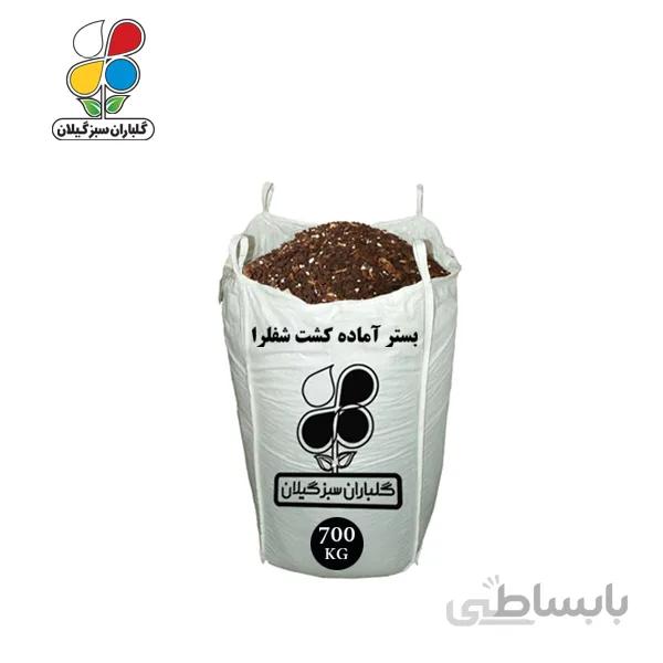 بستر آماده کشت شفلرا عمده 700 کیلویی