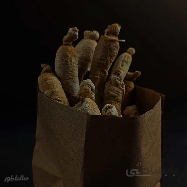 جینسینگ سفید