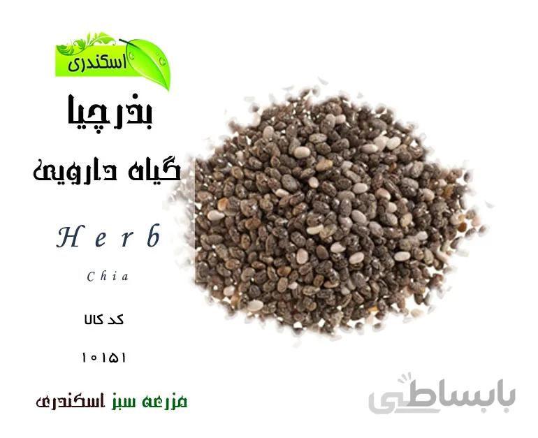 بذر چیا