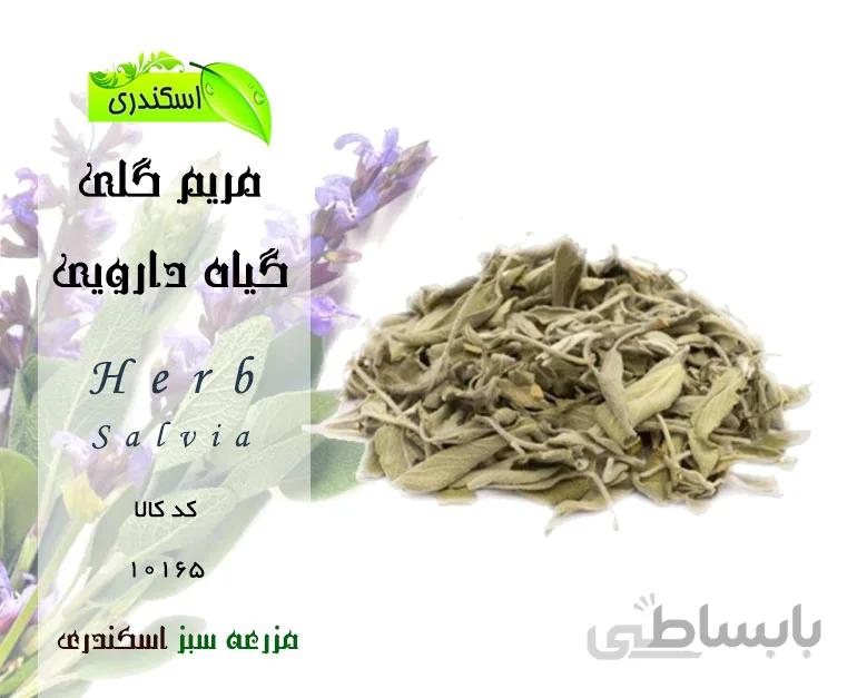 گیاه مریم گلی