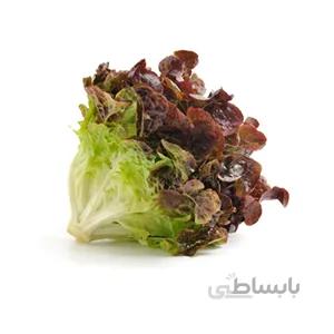 بذر کاهو قرمز