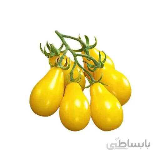 بذر گوجه فرنگی زرد گلابی
