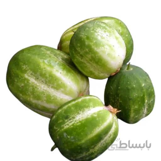 بذر خیار سیب سبز ریچارد