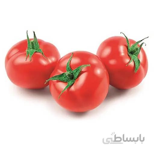 بذر گوجه فرنگی قرمز درشت توندو