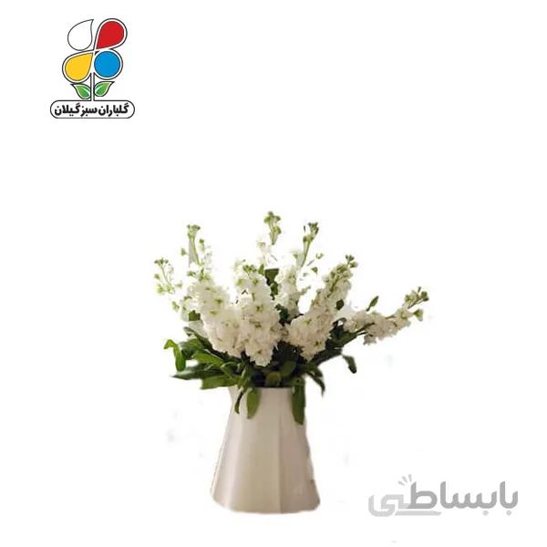 بذر گل شب بو بسته بندی بزرگ مدل GPSF7L