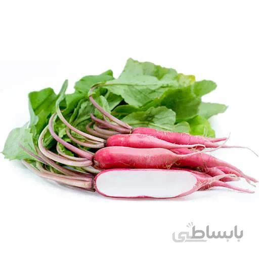 بذر تربچه شانکیو نیمه بلند