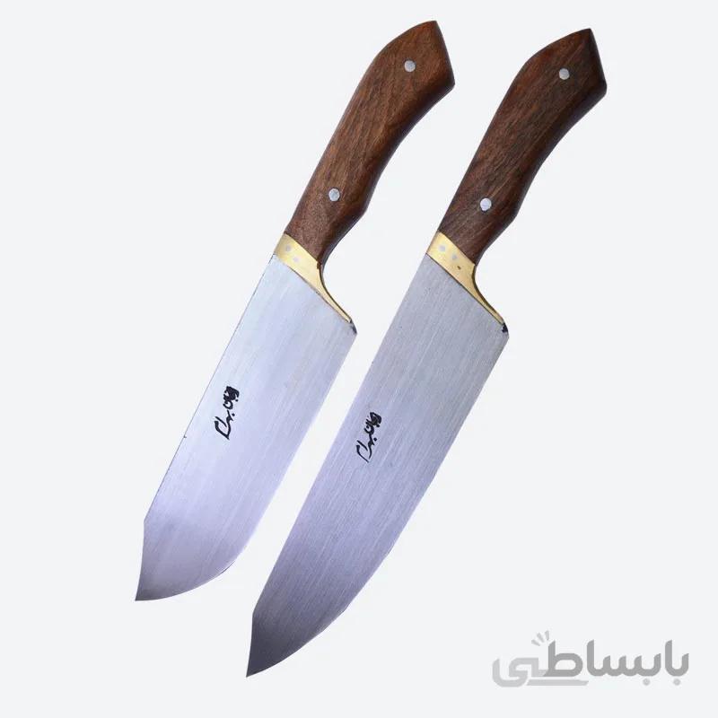 چاقوی راسته ای و سلاخی دلفین زنجان