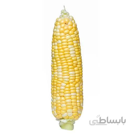 بذر ذرت خیلی شیرین