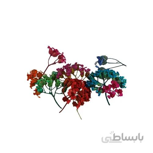 پک شکوفه ریز رنگی مدل 2