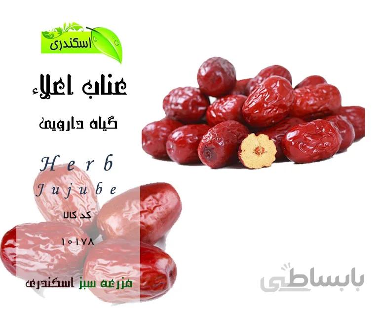 عناب اعلاء