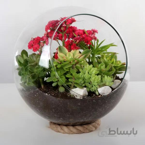 تراریوم شیشه ای