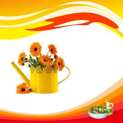 بذر گل همیشه بهار خوراکی