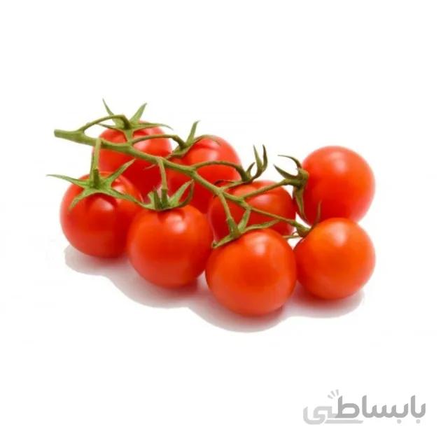بذر گوجه چری قرمز مینیاتوری بسته ۱۰ گرمی