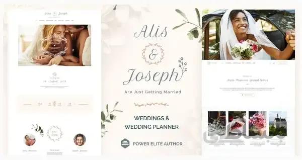 قالب وردپرس Alis Wedding