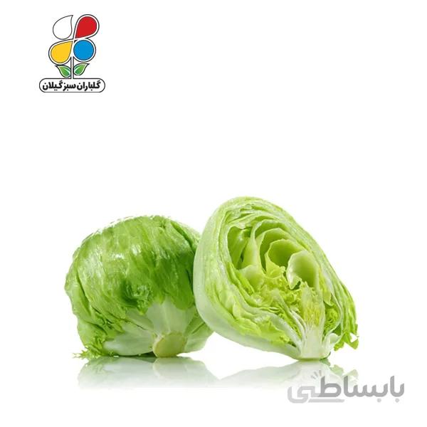 بذر کاهو پیچ بسته 3 عددی مدل GPSS7L