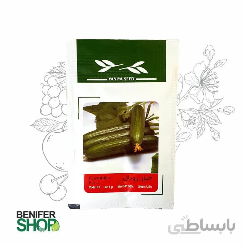 بذر خانگی خیار رویال